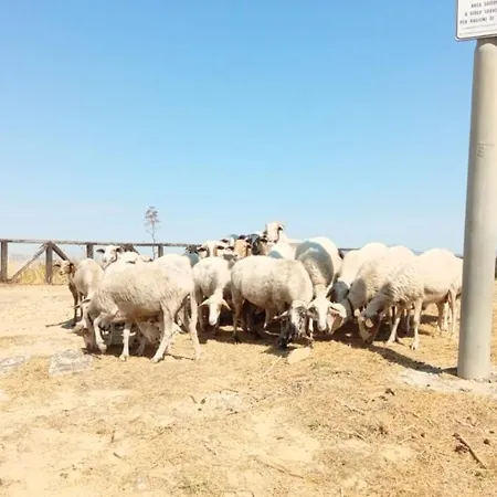 Kasakarma Prázdninový dům Agira