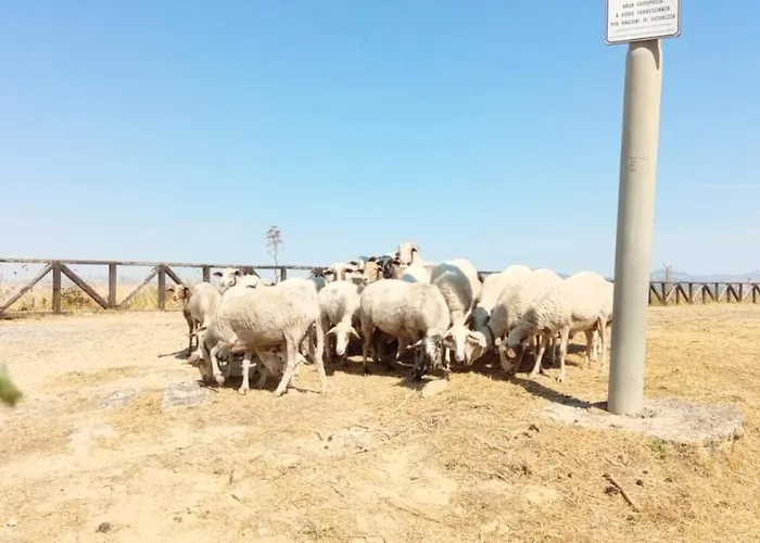 Kasakarma Prázdninový dům Agira